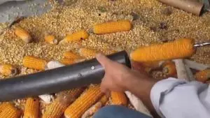 Очистка Кукурузы С Помощью Дрели